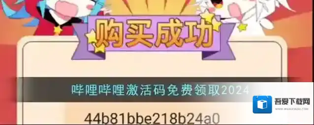 哔哩哔哩大会员