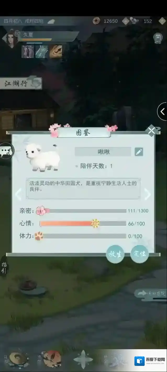 江湖悠悠宠物怎么寻宝？江湖悠悠宠物寻宝攻略