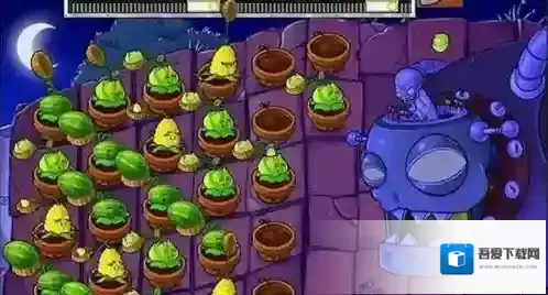 植物大战僵尸你需要