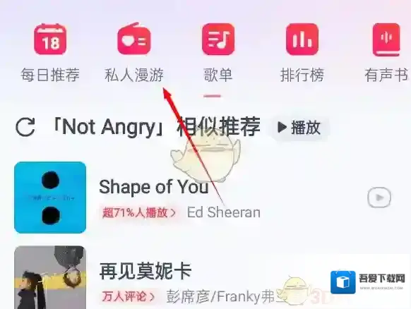 网易云音乐用户